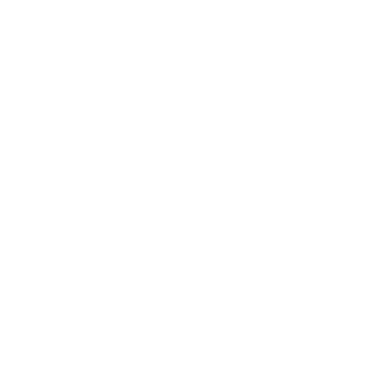 公司簡介